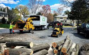 Best Sod Installation  in Ballenger Creek, MD