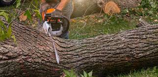 Best Landscape Design and Installation  in Ballenger Creek, MD